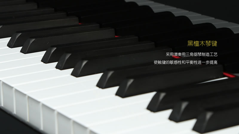 韦伯钢琴 IW121S BP
