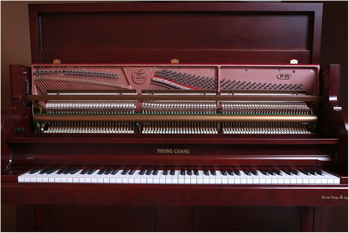 英昌钢琴 YP125F BDRCP-S