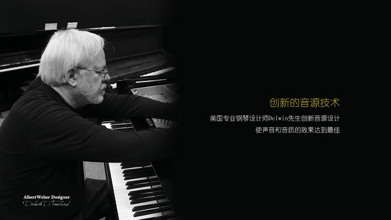 英昌钢琴 Y228DW BP