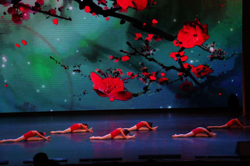 国乐艺术培训中心中国舞蹈培训班学生演出